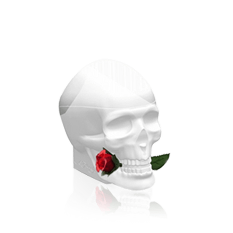 Ed Hardy Skull and Roses