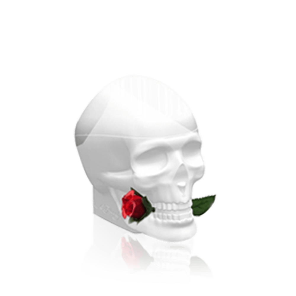 Ed Hardy Skull and Roses